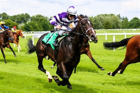 Best Horse Racing Betting Sites in the UK for April 2024 .